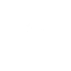 CFMoto Logo